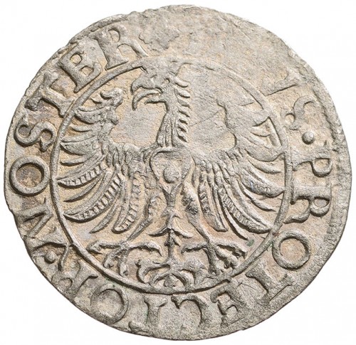 Coin reverse image