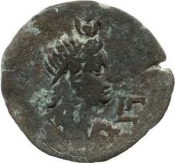 Coin reverse image