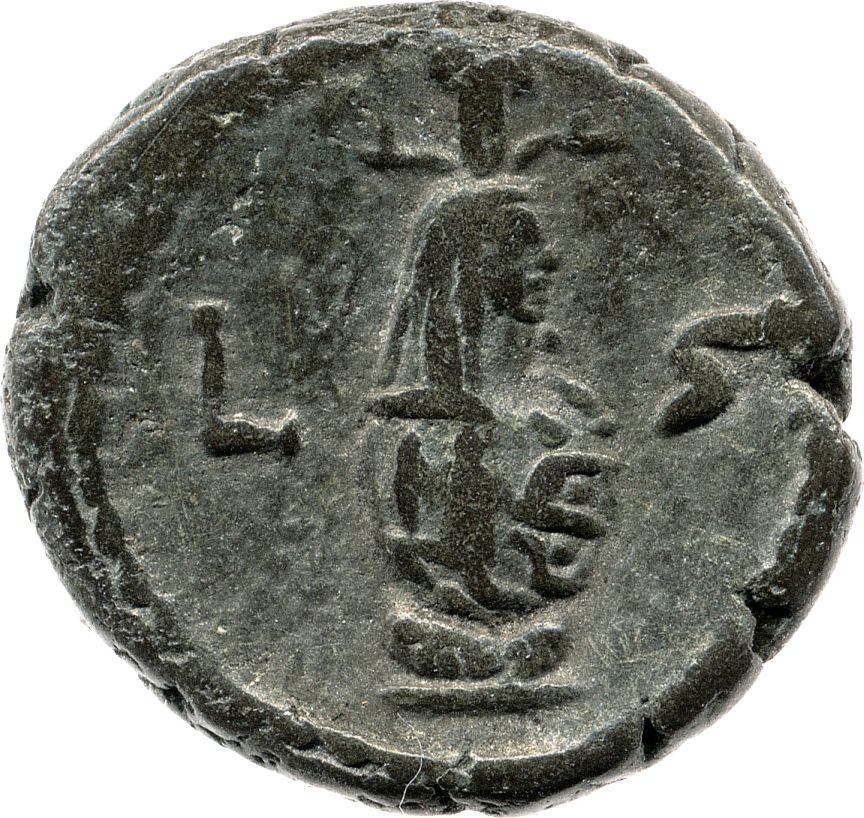 Coin reverse image