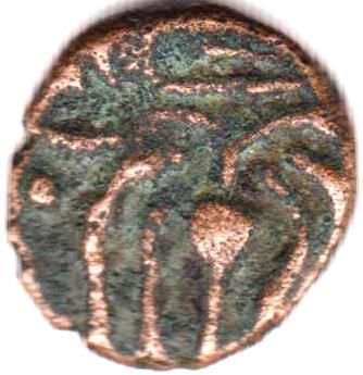 Coin reverse image