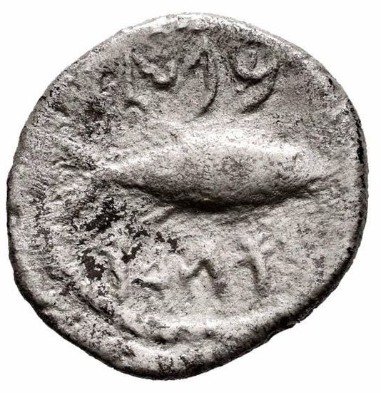 Coin reverse image