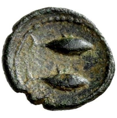 Coin reverse image