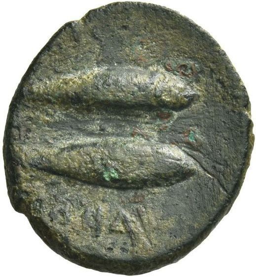 Coin reverse image