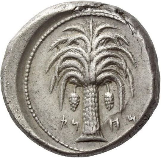 Coin reverse image