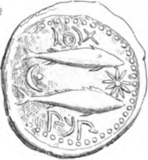 Coin reverse image