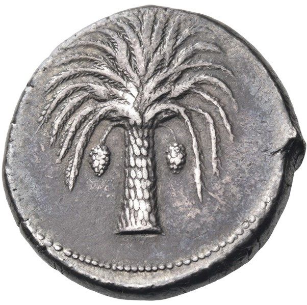 Coin reverse image