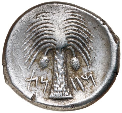 Coin reverse image