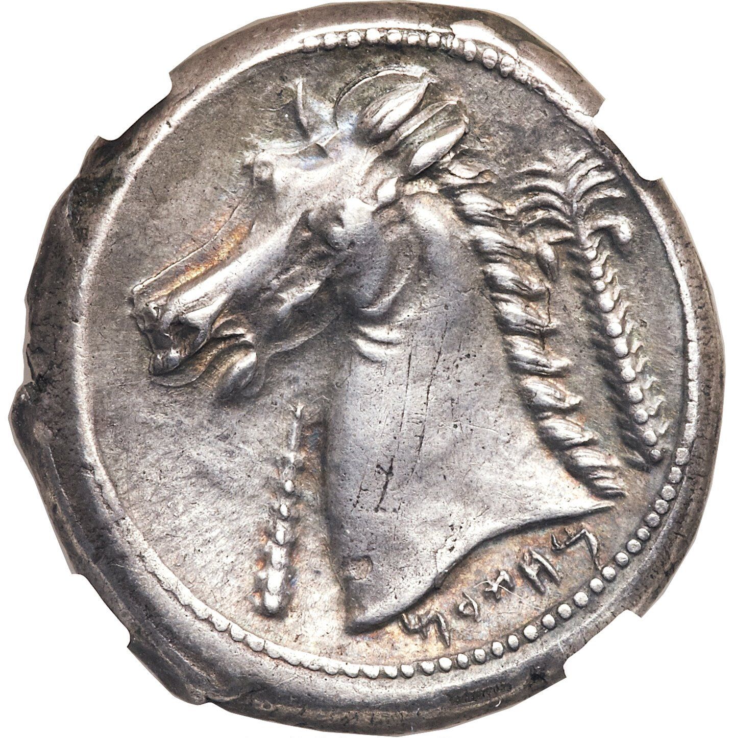 Coin reverse image