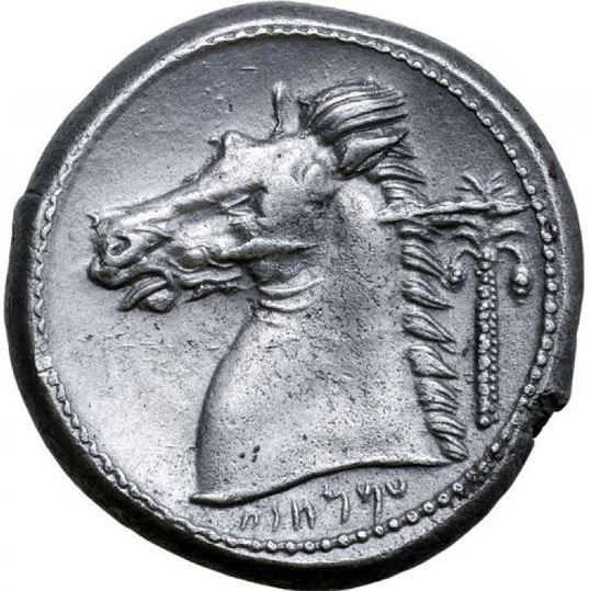 Coin reverse image