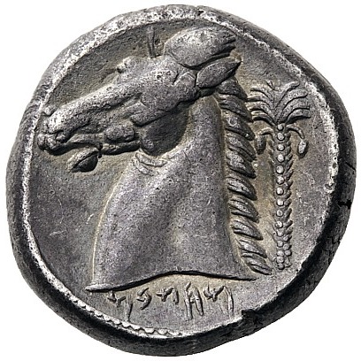 Coin reverse image