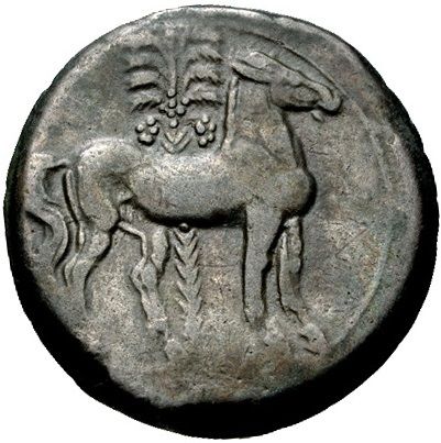 Coin reverse image