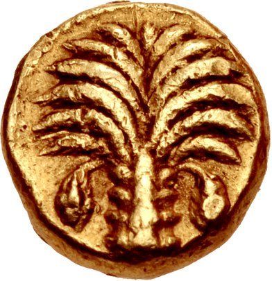 Coin reverse image