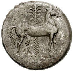 Coin reverse image