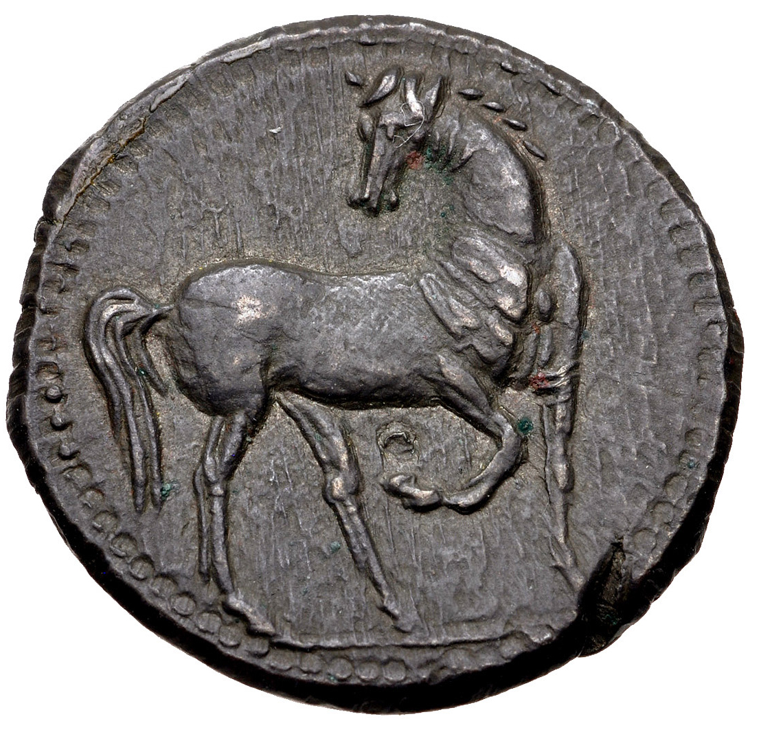 Coin reverse image