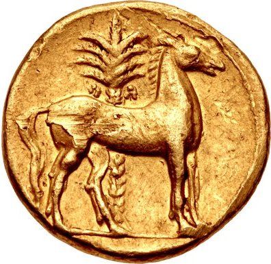 Coin reverse image