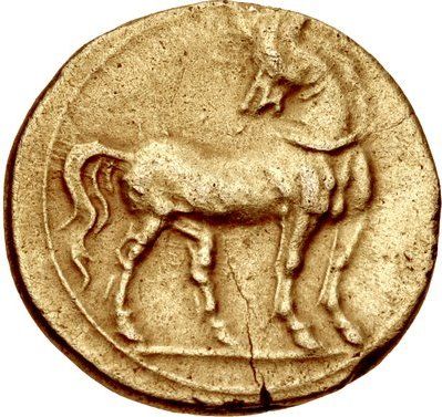 Coin reverse image
