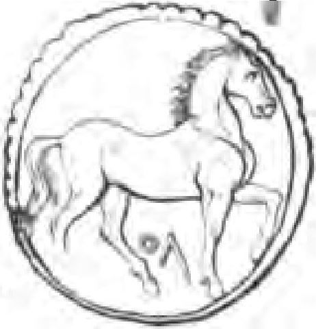 Coin reverse image