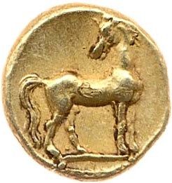 Coin reverse image