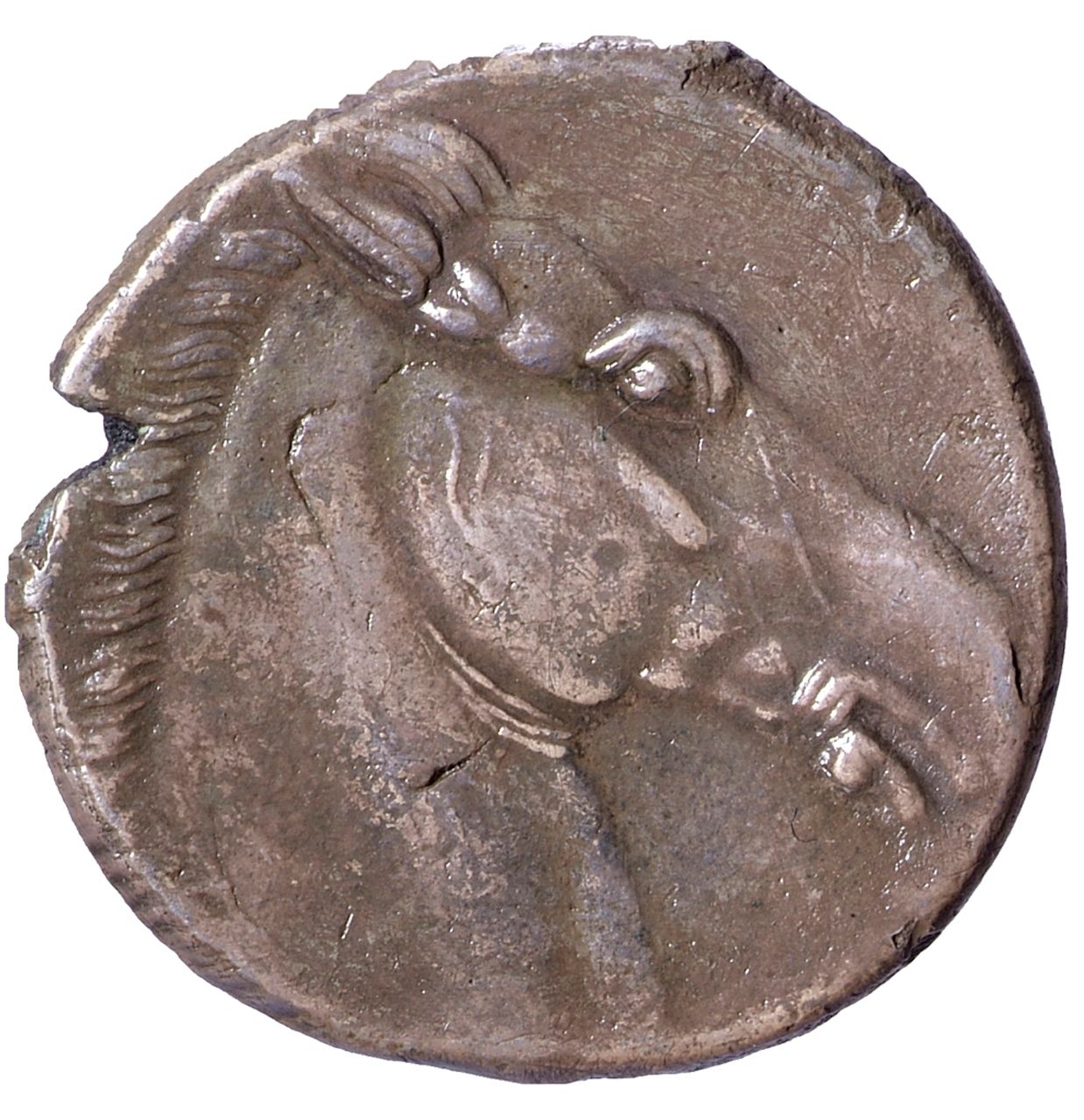 Coin reverse image