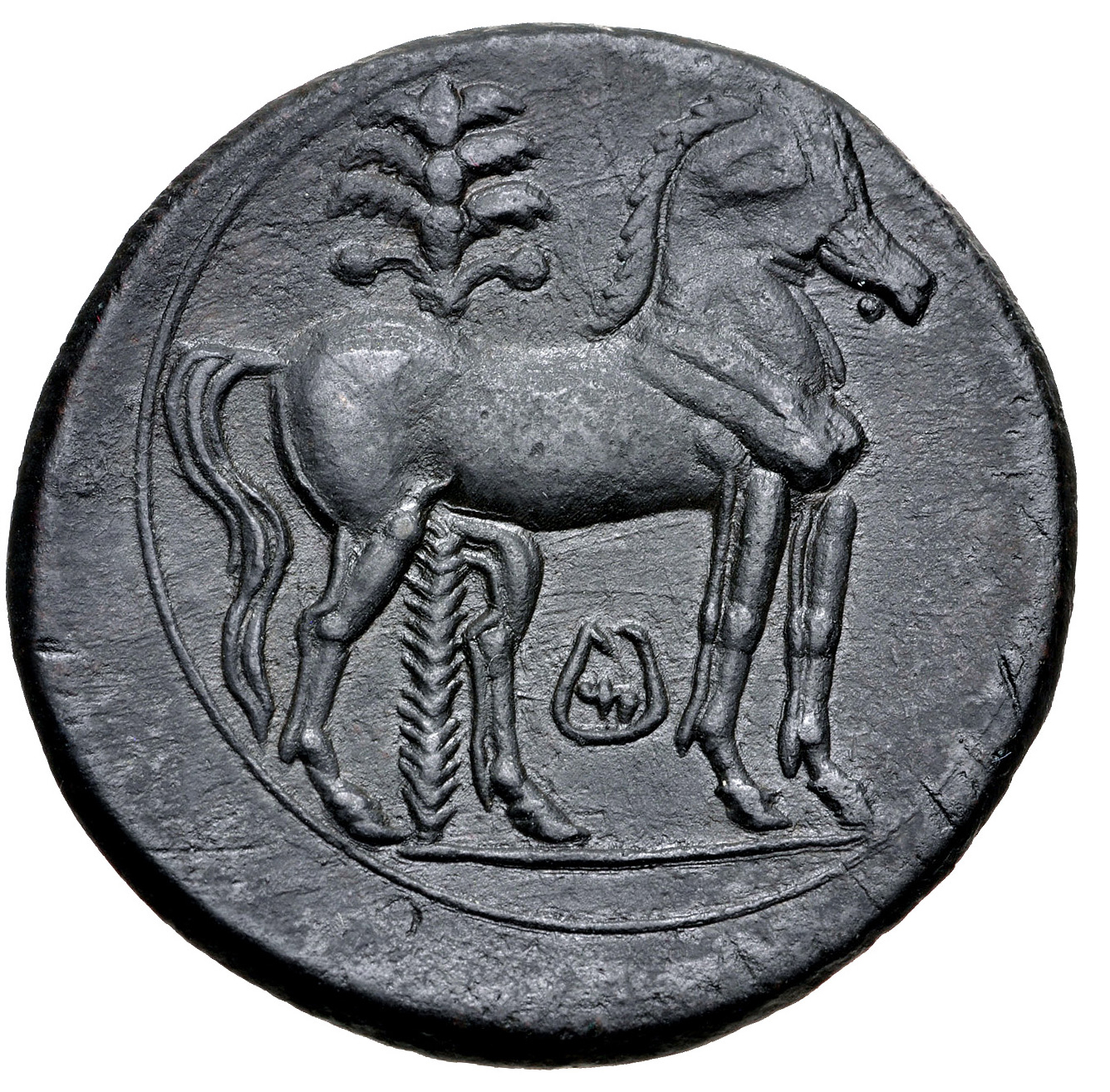 Coin reverse image