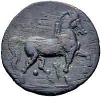 Coin reverse image