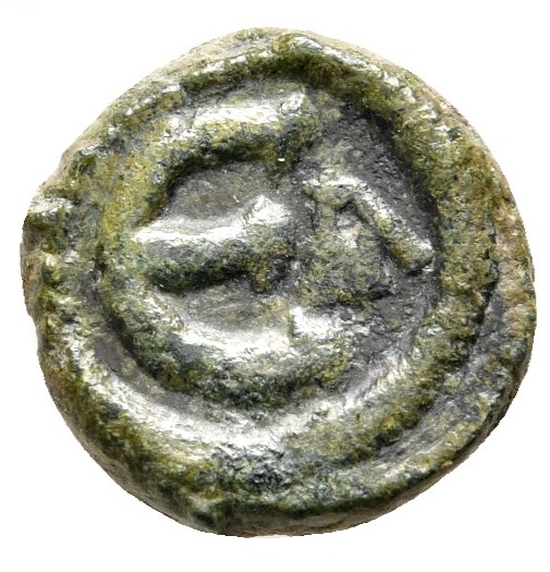 Coin reverse image