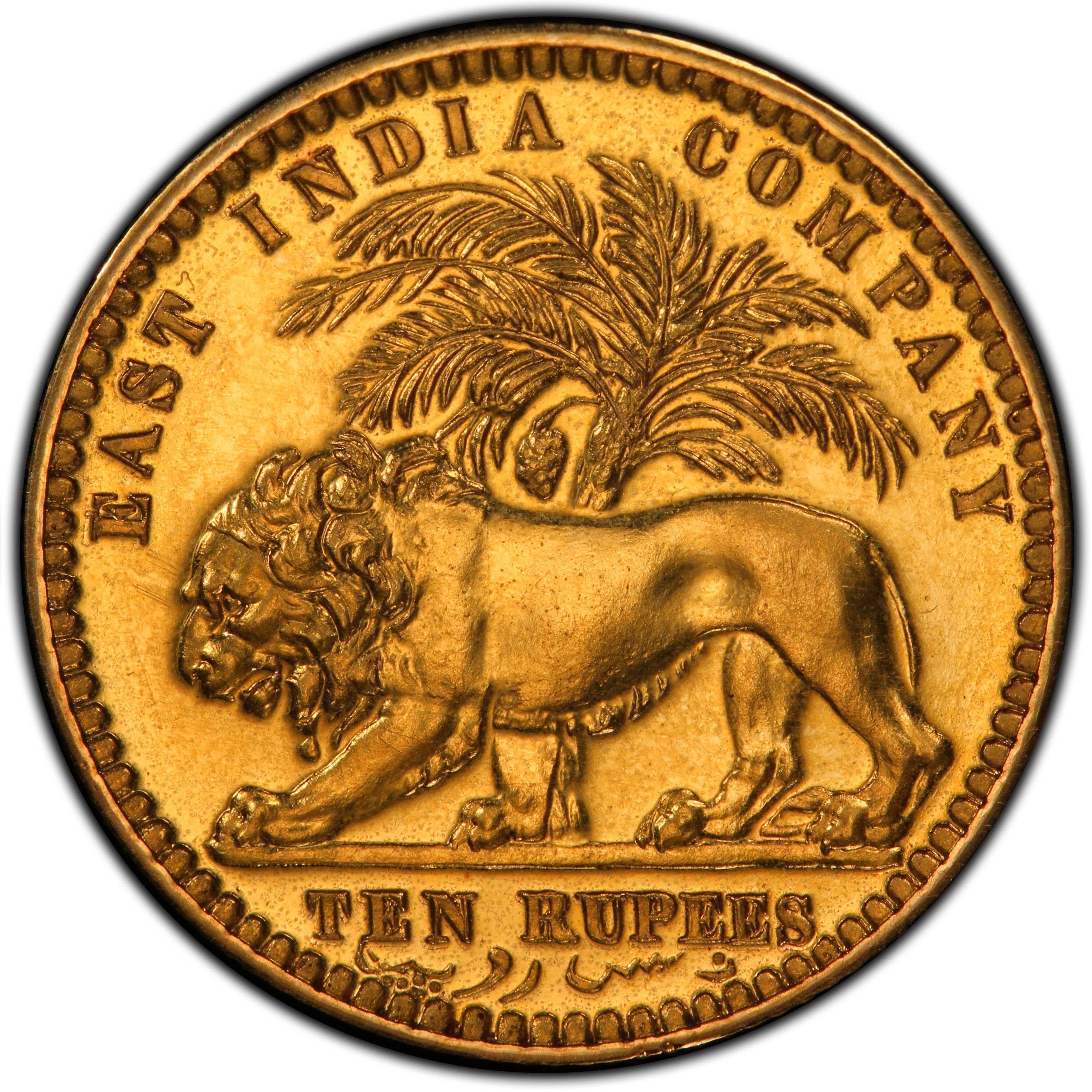 Coin reverse image