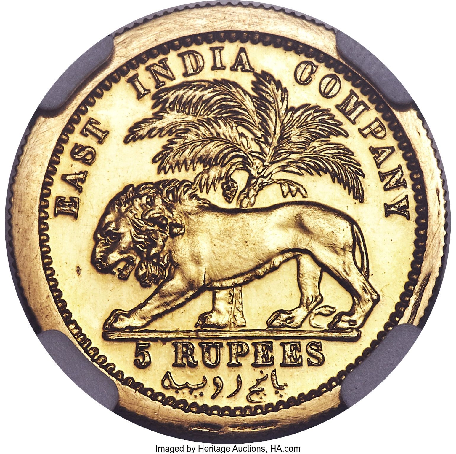Coin reverse image