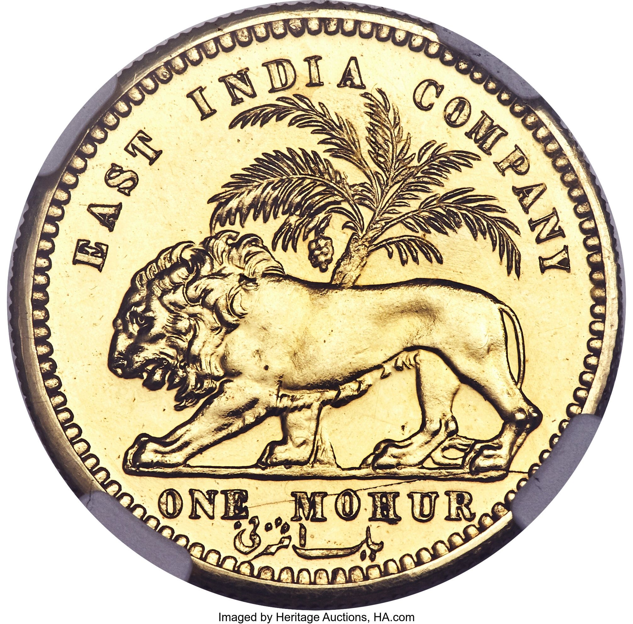 Coin reverse image