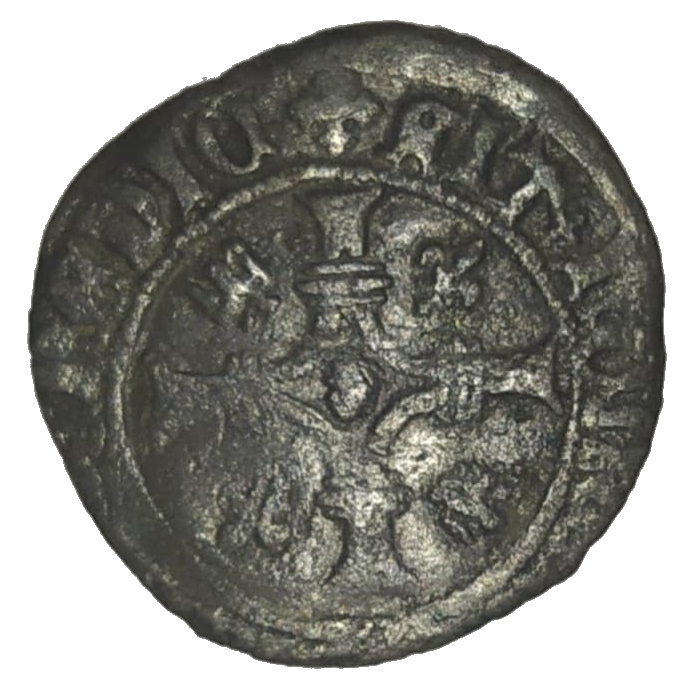 Coin reverse image