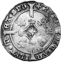 Coin reverse image