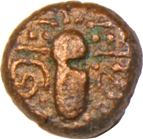 Coin obverse image