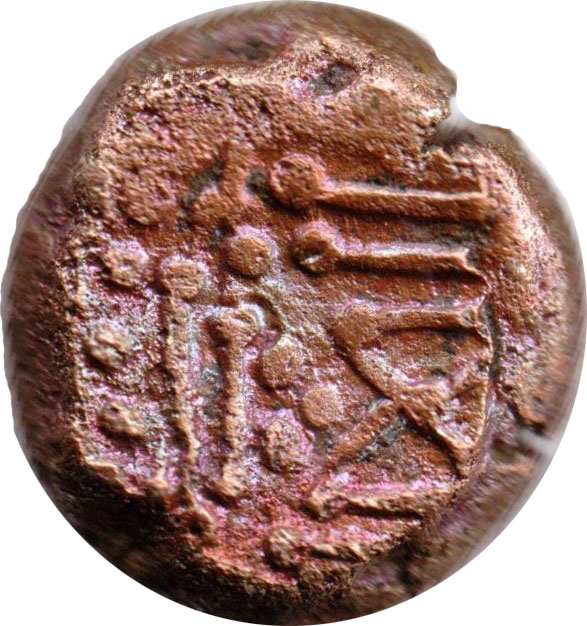 Coin reverse image