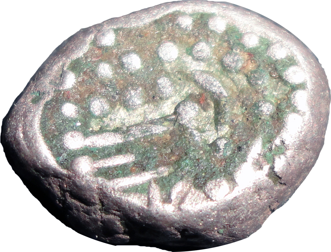 Coin reverse image