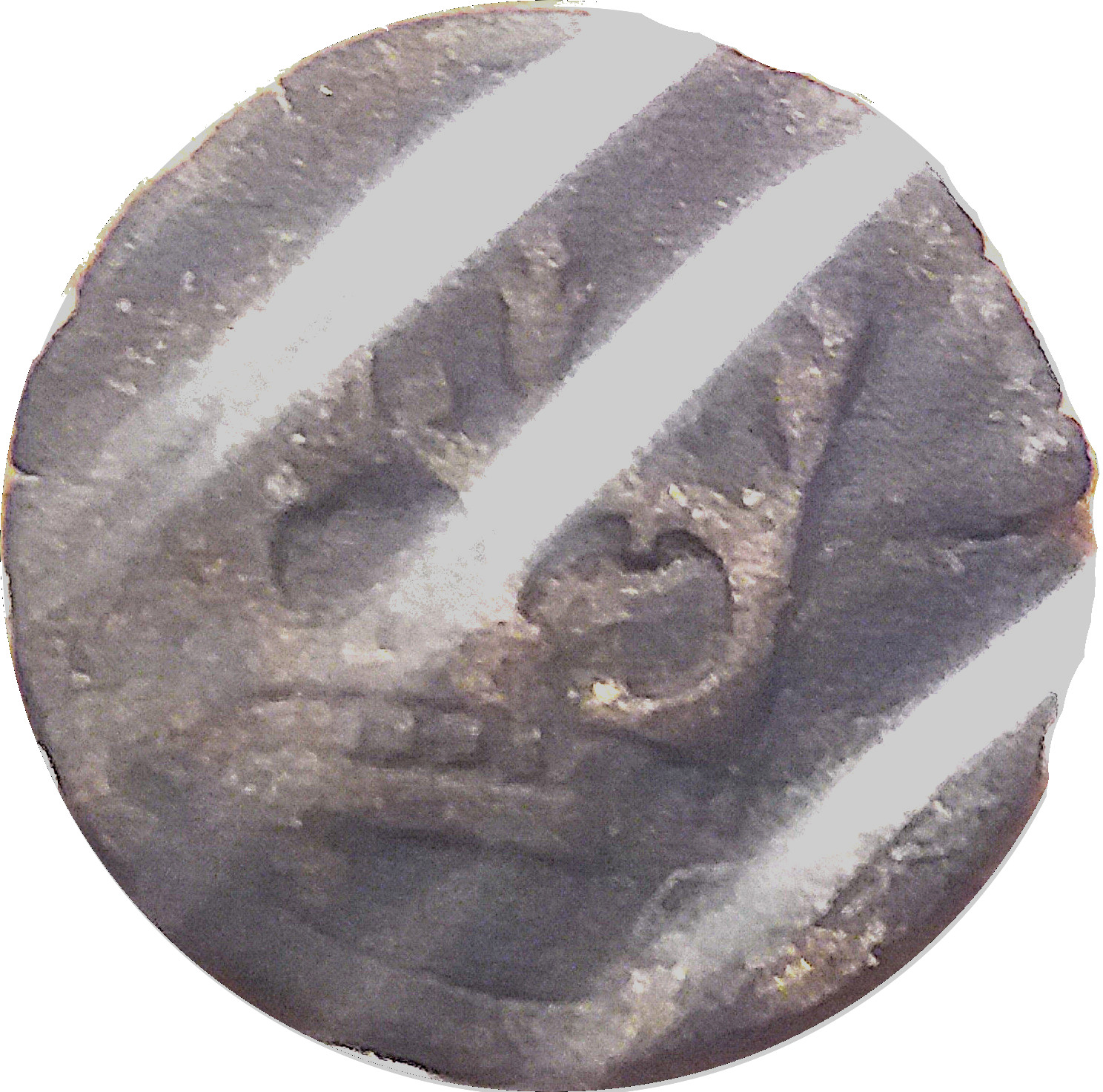 Coin reverse image