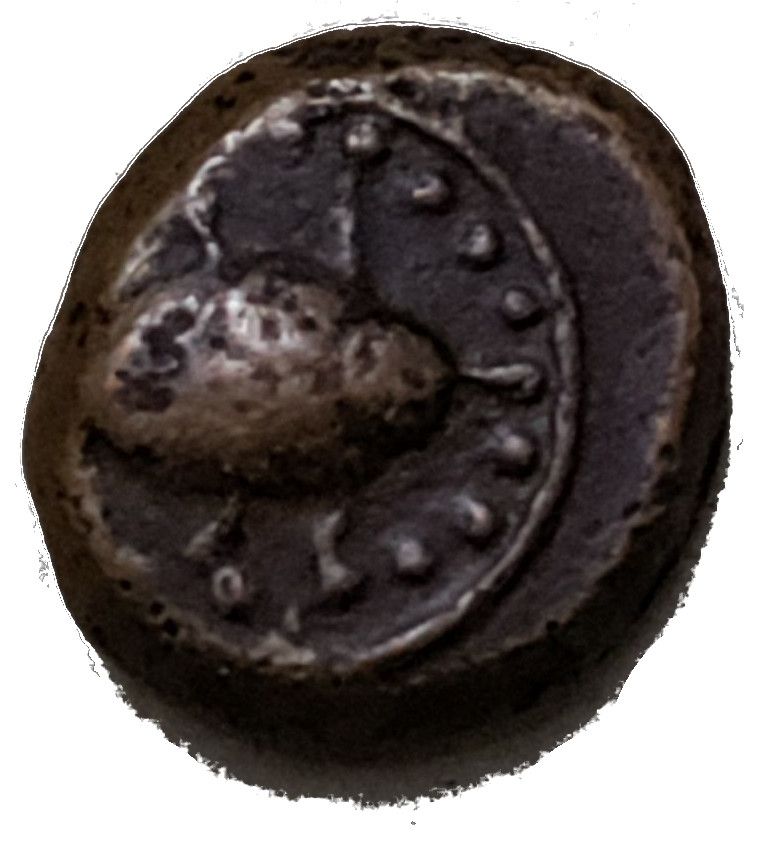 Coin obverse image