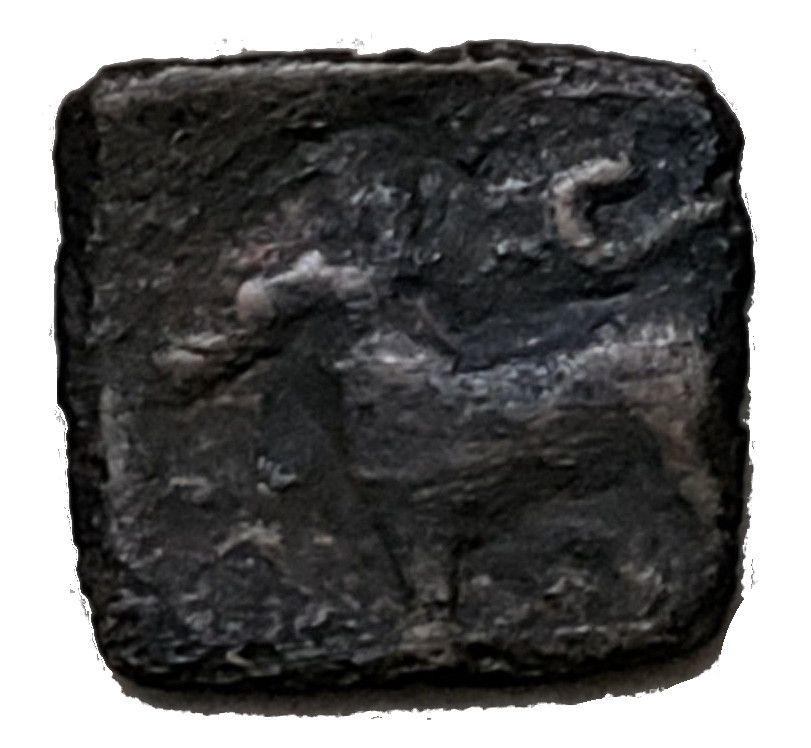 Coin reverse image