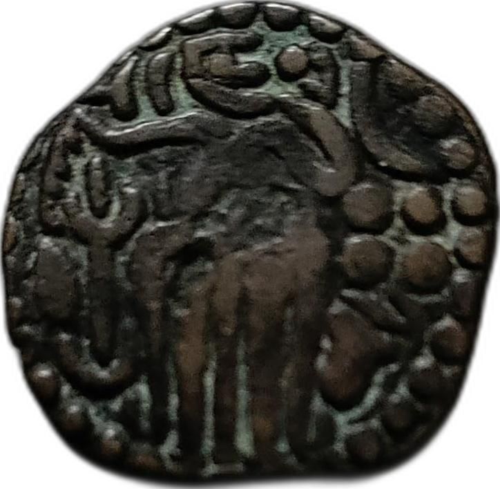 Coin reverse image