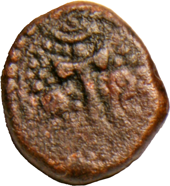 Coin obverse image