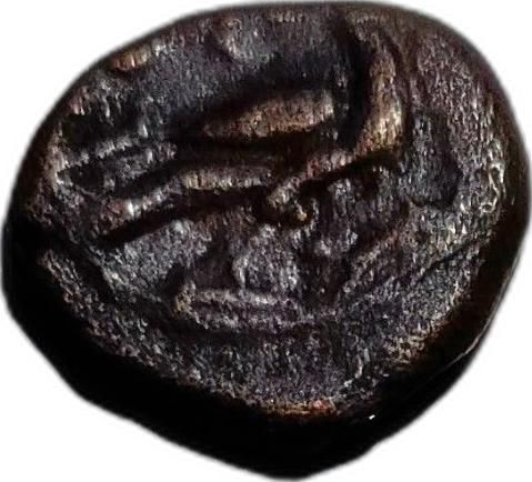 Coin reverse image