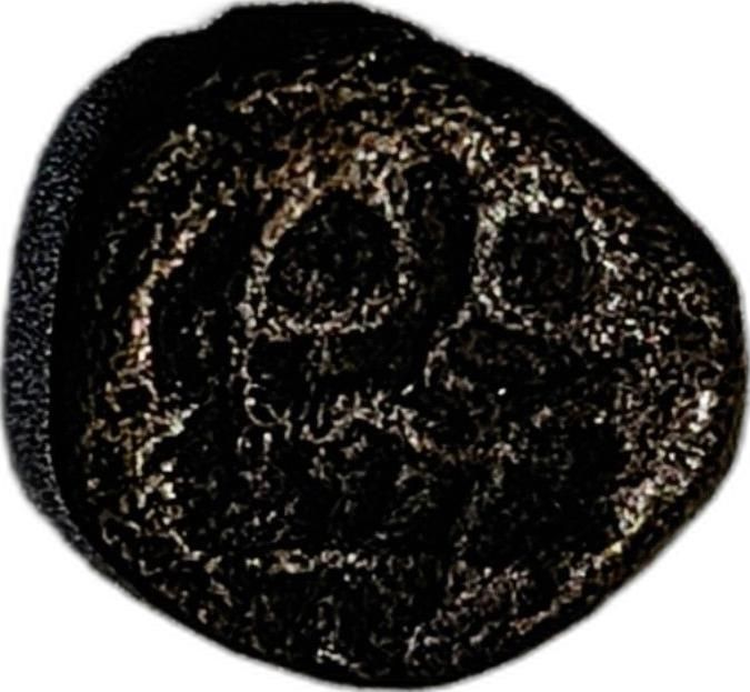 Coin reverse image