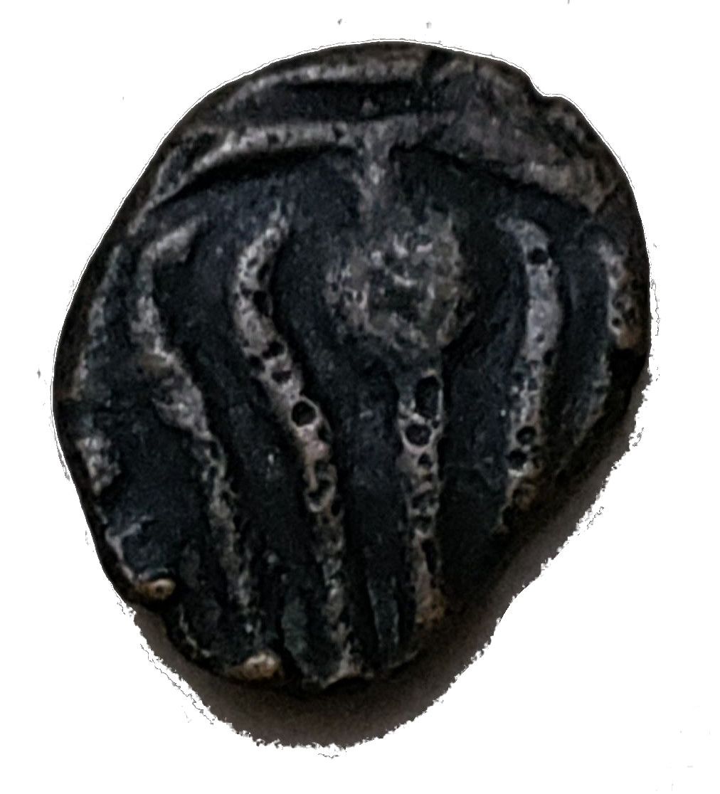 Coin reverse image