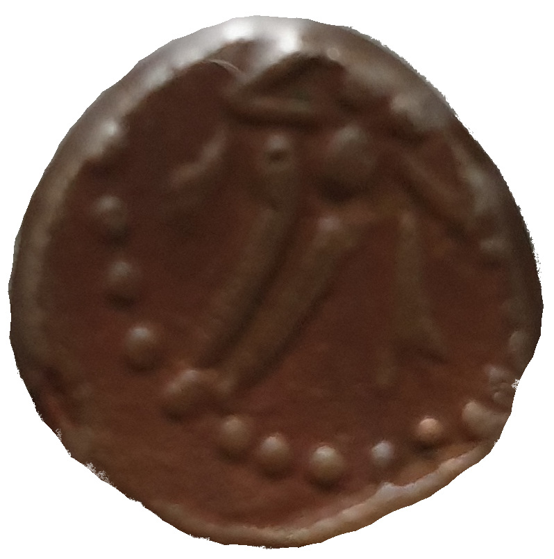 Coin reverse image