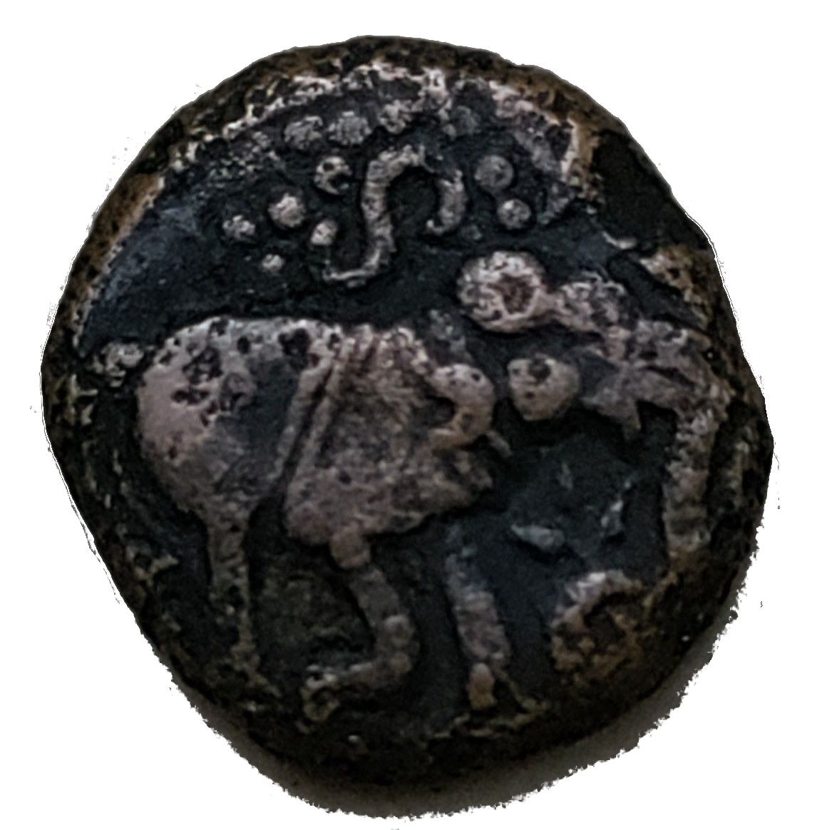 Coin obverse image