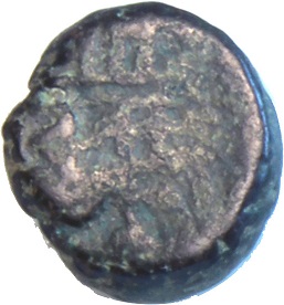 Coin reverse image