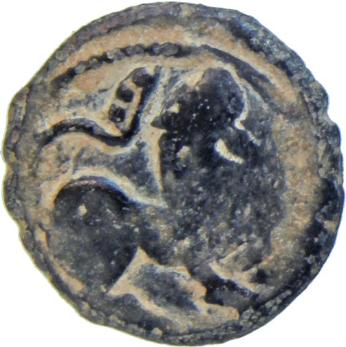 Coin reverse image