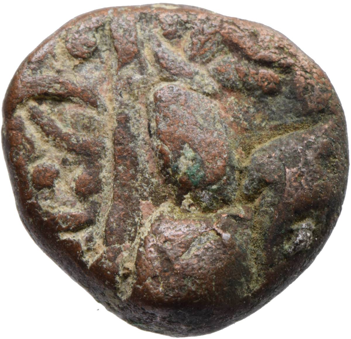 Coin obverse image