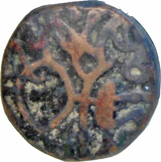 Coin reverse image