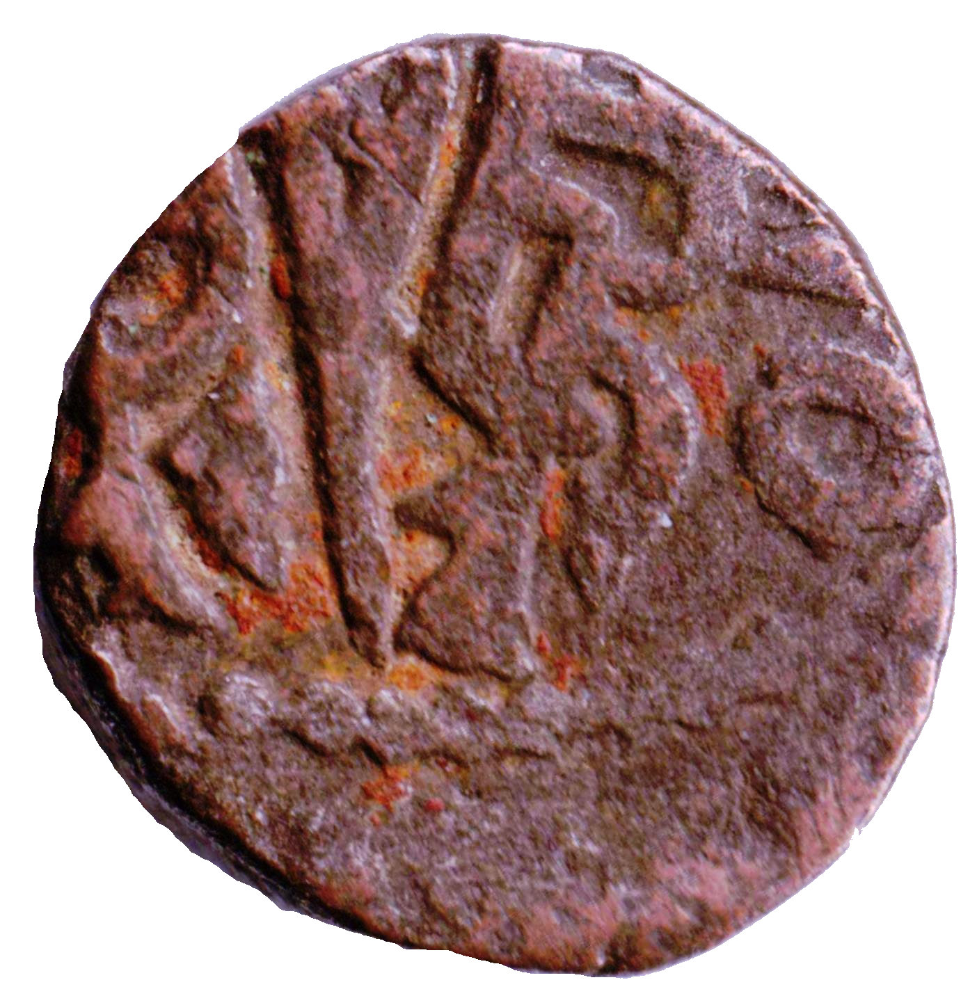 Coin reverse image