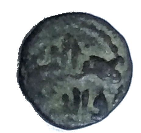 Coin reverse image